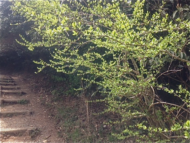 f0173150_2253572.jpg