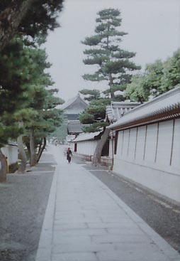 e0156251_2331408.jpg