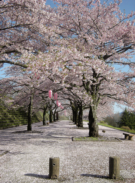 a0001354_21315953.gif