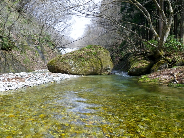 b0177355_2248345.jpg