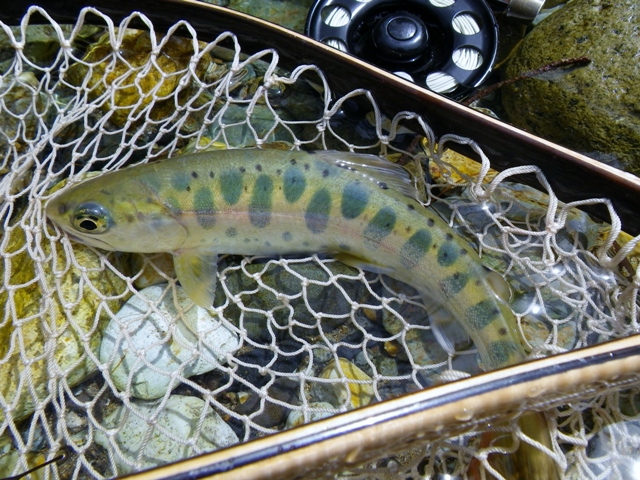 b0177355_224837100.jpg