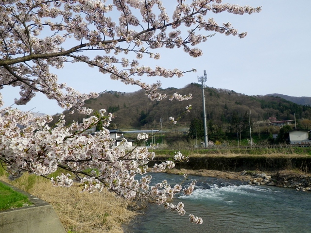 b0177355_22484471.jpg