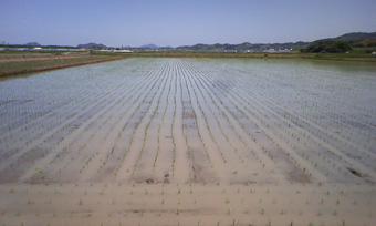 f0212356_821739.jpg