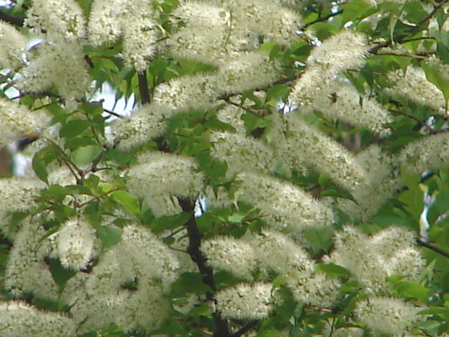 b0061261_21304085.jpg