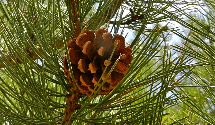 b0207361_6285965.jpg