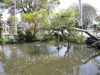 f0106664_7213345.jpg