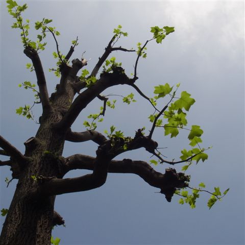 a0123465_243817.jpg
