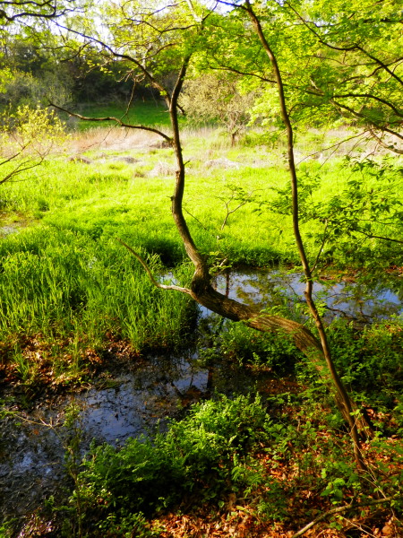 c0122670_2252120.jpg