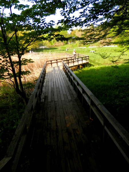 c0122670_22523999.jpg
