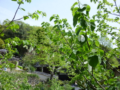 c0216472_2102496.jpg