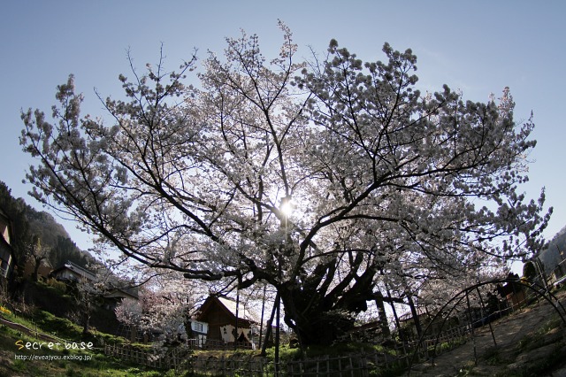 e0218375_10132737.jpg