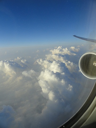 a0047577_235034.jpg