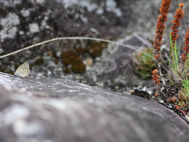 e0188677_21484569.jpg