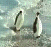 f0007580_2353018.gif