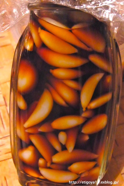 d0170682_0242981.jpg