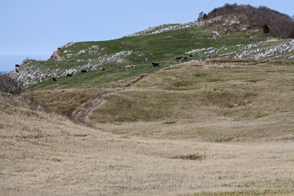 e0164282_11475278.jpg