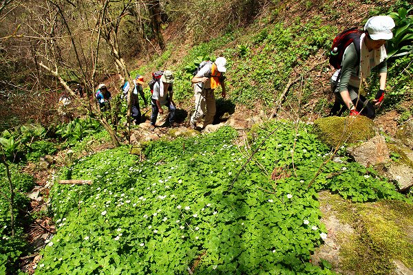 f0073587_11592084.jpg