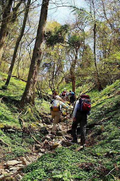 f0073587_1221896.jpg