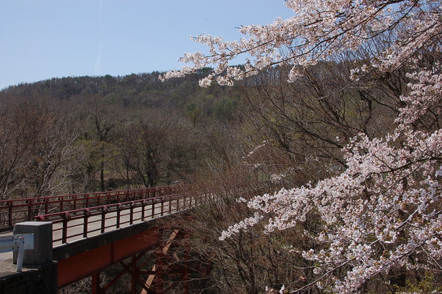b0203588_201222.jpg