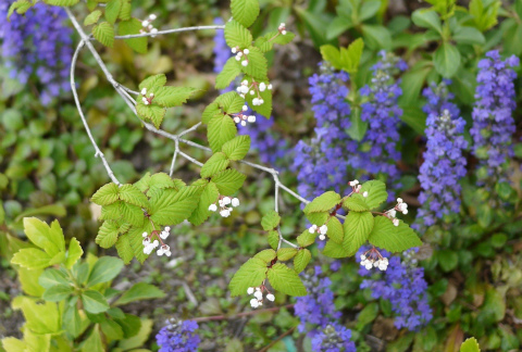 c0160488_1201354.jpg
