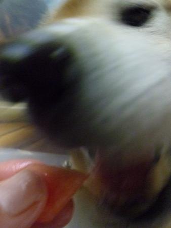 c0123890_2163990.jpg