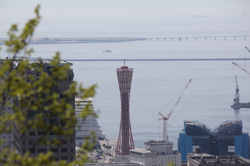 a0234491_23312077.jpg
