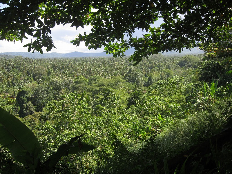 b0161391_18312926.jpg