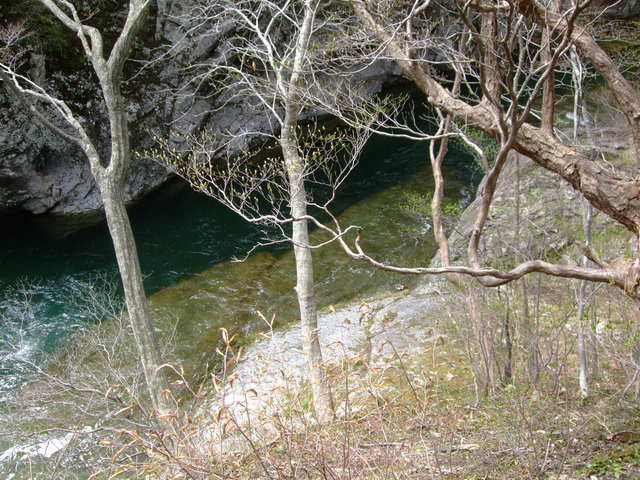 f0100593_2181660.jpg