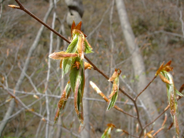 f0100593_2182095.jpg