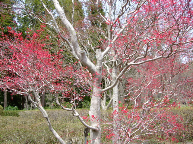 f0100593_218238.jpg
