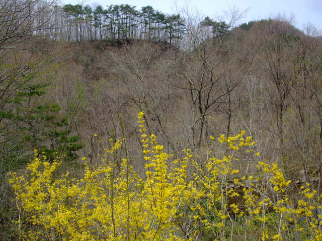 f0100593_2184837.jpg