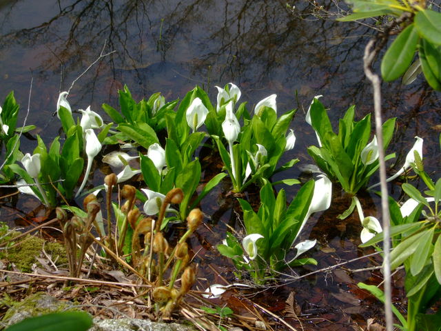 f0100593_219143.jpg