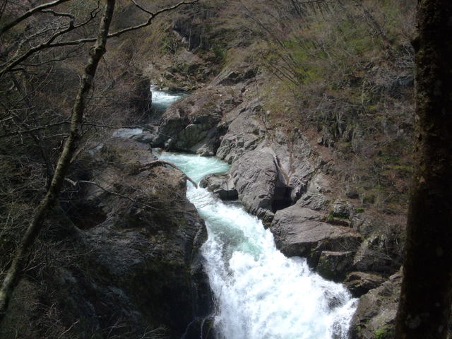 f0100593_2194124.jpg