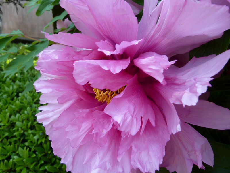 a0164996_203838100.jpg