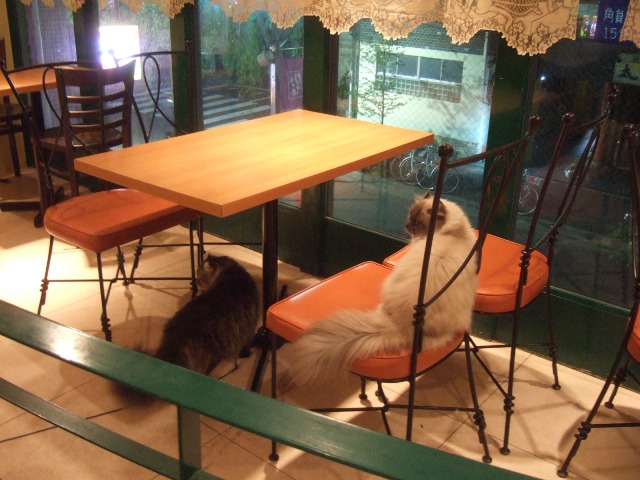 c0115596_23205471.jpg
