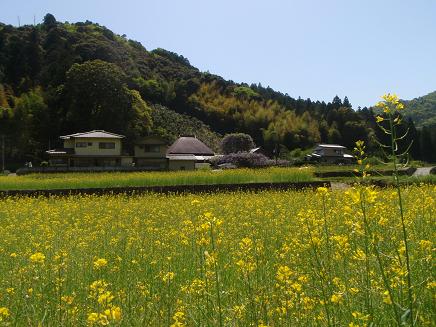 a0125598_2271197.jpg