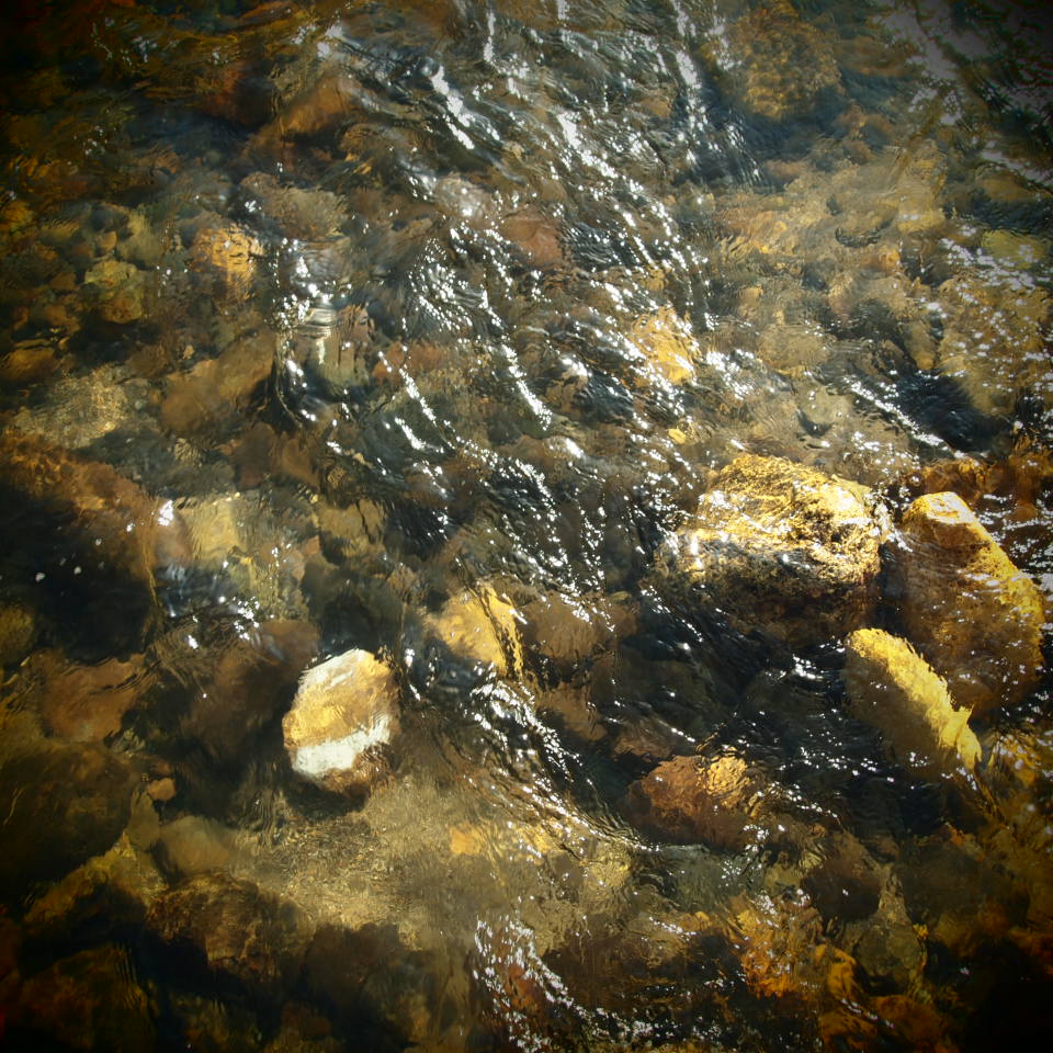 f0236201_724064.jpg