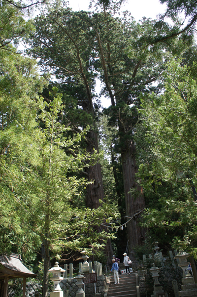 d0197602_7553577.jpg