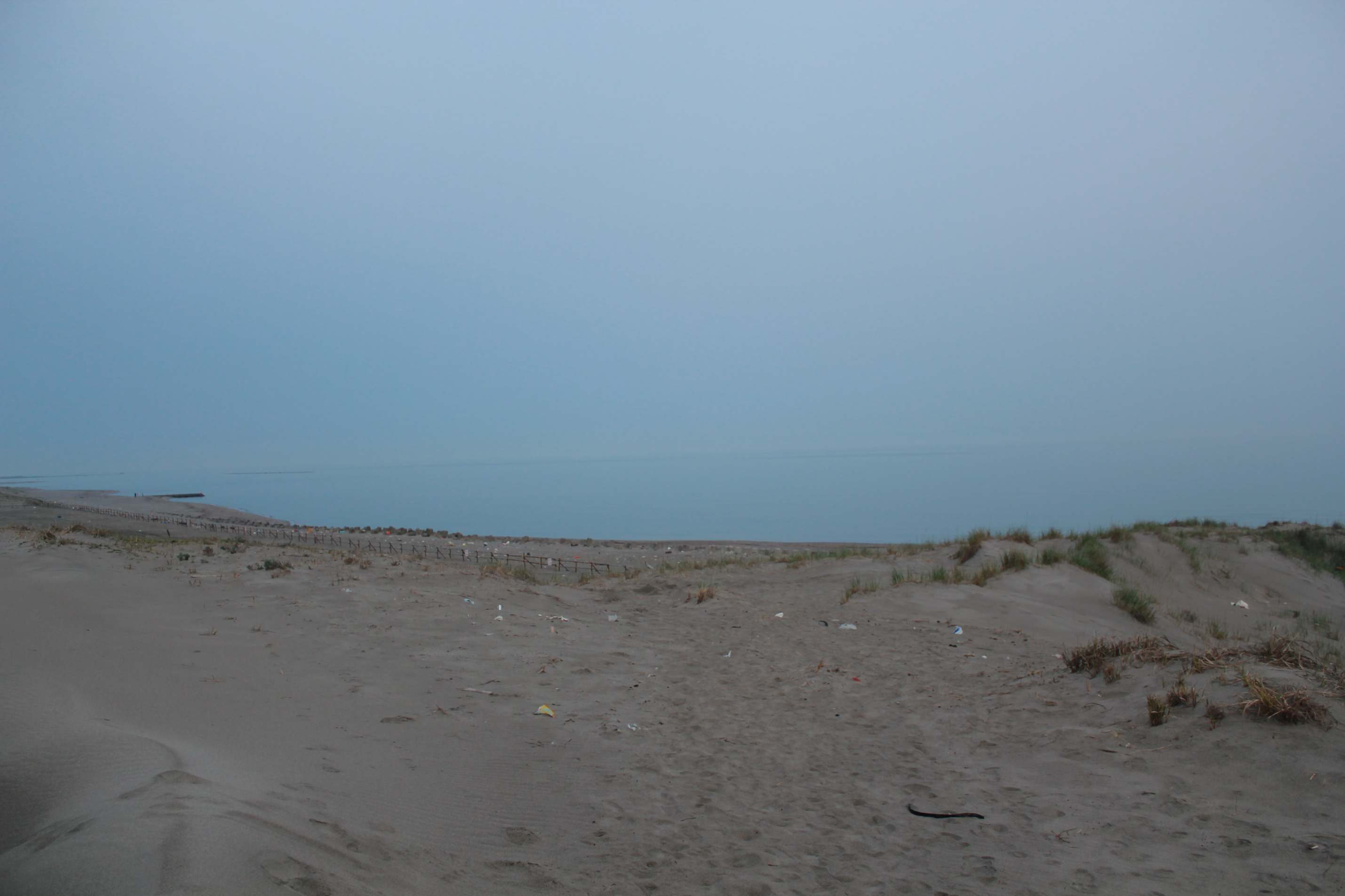 a0264604_7424365.jpg