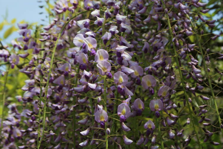 f0031304_735567.jpg