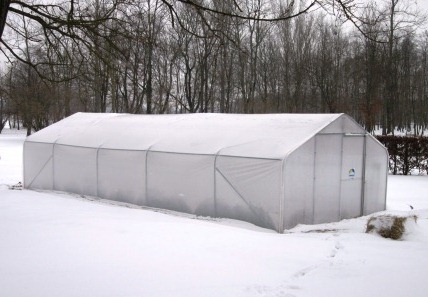 f0144707_125975.jpg
