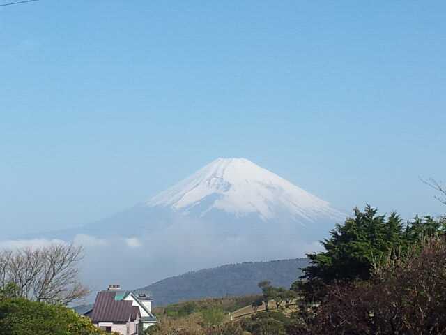 e0015108_6193161.jpg