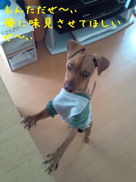 e0246708_1242197.jpg