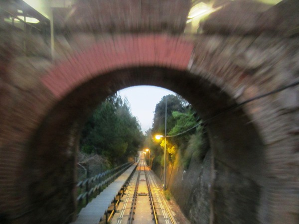 b0064411_6484288.jpg