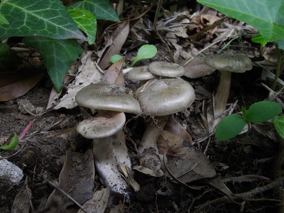 e0239312_15431394.jpg
