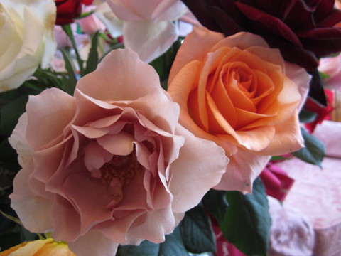 d0070113_02719.jpg