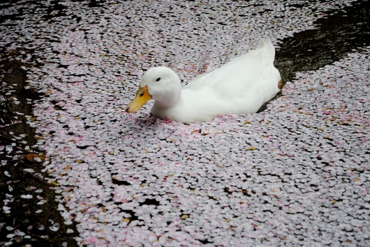 b0209919_2322012.jpg
