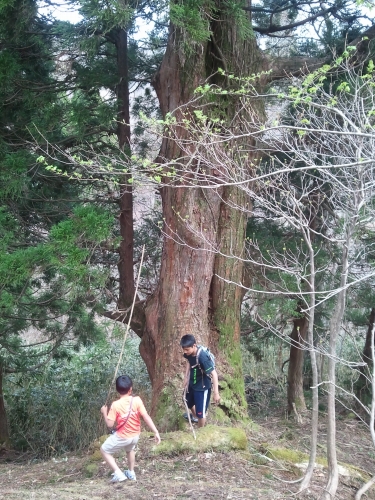 e0054022_183714.jpg