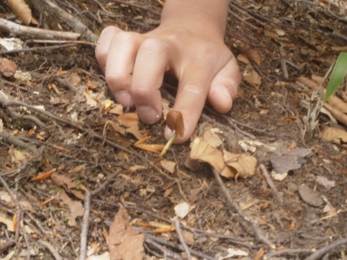e0054022_18375651.jpg