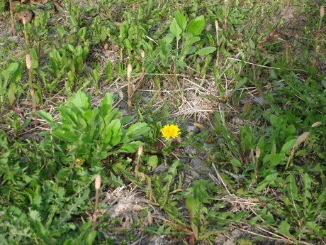 d0250123_21143356.jpg